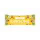 Rawsome Coconut Bar 40 Gr