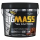 Big Joy Big Mass Gainer + GH Factors 1200 Gr