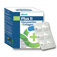 Biowell Plus II Glucosamine + Collagen 60 Kapsül
