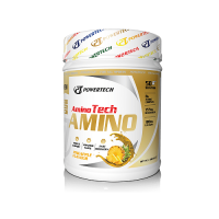 PowerTech Essential Amino Asit 500 Gr