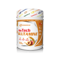 PowerTech Glutamine 350 Gr