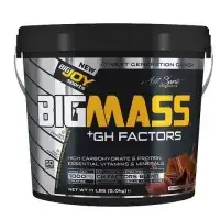 Big Joy Big Mass Gainer + GH Factors 5000 Gr