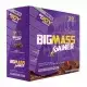 Big Joy Big Mass 5000 Gr 50 Sachet