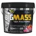 Big Joy Big Mass Gainer + GH Factors 1200 Gr