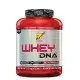 BSN DNA Series Whey Protein 1870 Gr