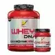 BSN DNA Series Whey Protein 1780 Gr + BSN DNA Series Creatine 216 Gr