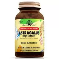 Solgar Astragalus Root 60 Kapsül